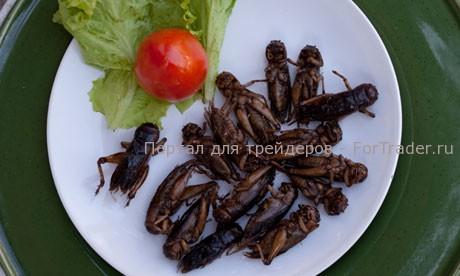 Fried insects at a roadside stall in Thailand