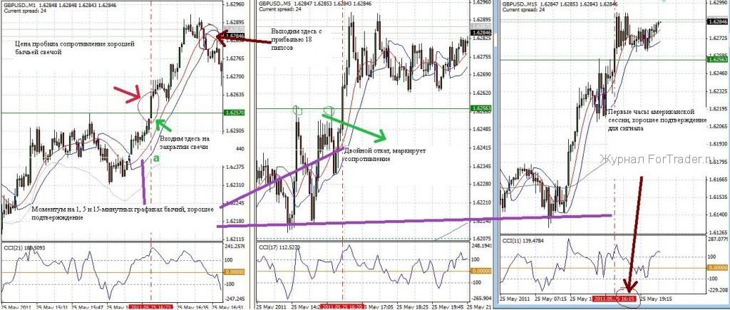 Momentum Flow Guideline System