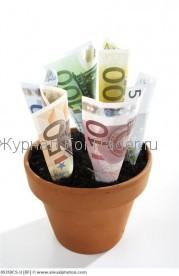 Дивиденды — какие бывают ограничения?