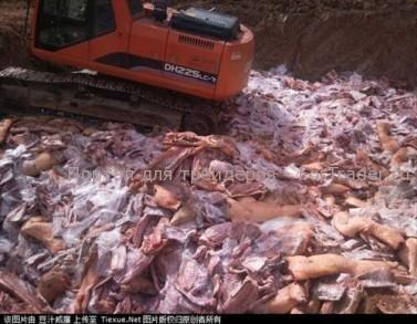 Цена на нефть, золото