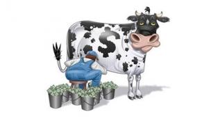 Инвестиции ПАММ-счет форекс