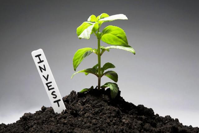 инвестиции в ПАММ счета