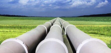 Курс рубля в августе: нефть — не единственная проблема