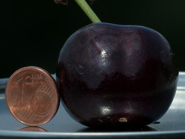 euro