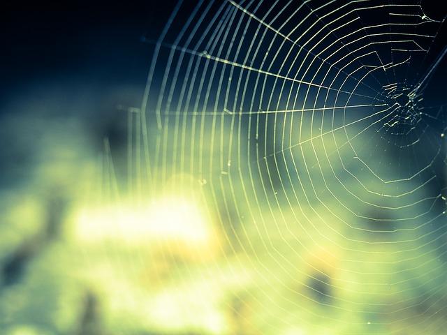 cobweb