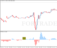 Market Cycle Trend Trading Strategy: Pin Bar Entry Setup