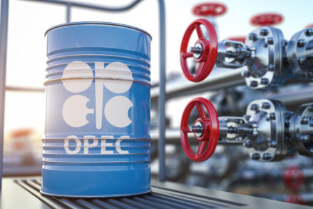 ОПЕК – организация стран экспортеров нефти