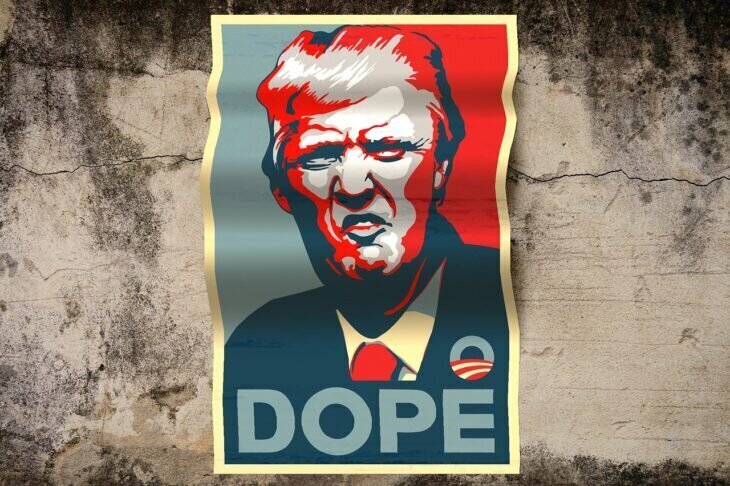 Inauguration von Donald Trump am 20. Januar