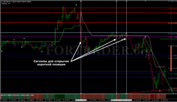 Торговая стратегия TMT 5 min Scalping для внутридневной торговли