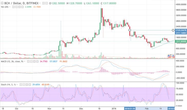 سعر بيتكوين كاش. التوقعات اليومية