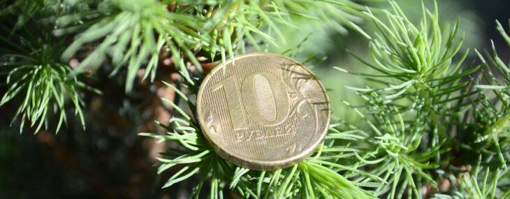 Курс рубля к доллару сегодня онлайн