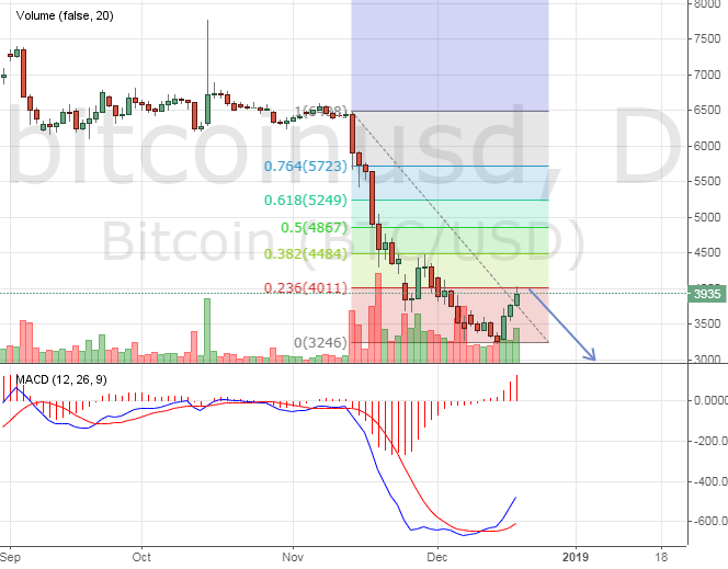 Биткоин и его перспективы