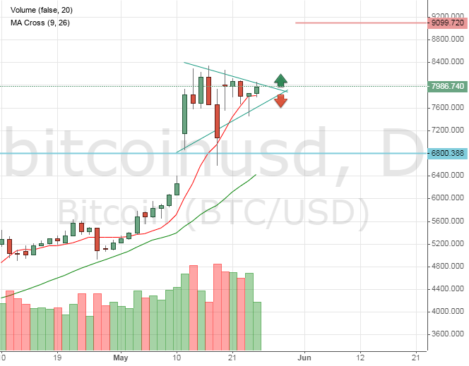 Bitcoin price graph