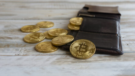 Горячие и холодные криптовалютные кошельки