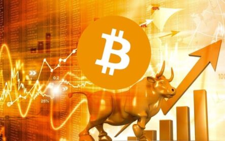 Падение биткоина было недолгим, цена выросла на 11% за день