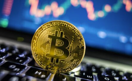 Онлайн курс криптовалют на сегодня и что влияет на его изменения