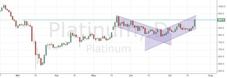 Платина. Пособие для начинающих