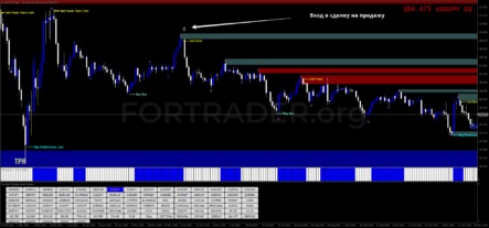 Торговая стратегия 300 pips a week with Price Action