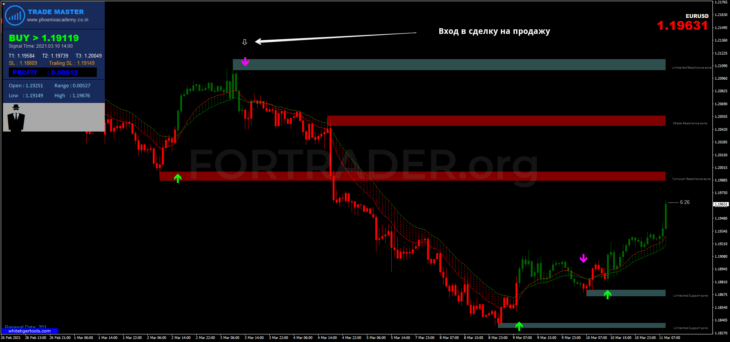 Трендовая стратегия Trade Master with Supply Demand