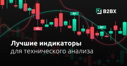 Лучшие индикаторы технического анализа для криптовалют