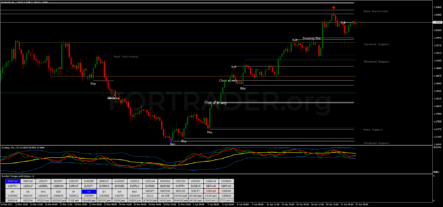 Трендовая торговая стратегия Force and Price Action