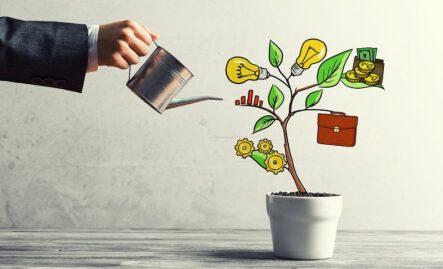 Доступный инвестиционный портфель – путь от 50$ до 1000$