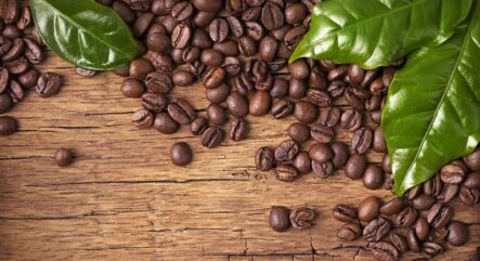 Магнит, X5 или Fix Price – кто выиграет на снижении урожаев в 2021 году?