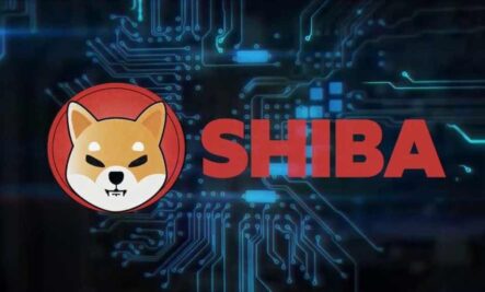 Shiba Inu (SHIBA) – курс на дно