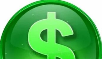 Вводная информация о проекте Думай и Богатей