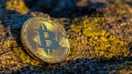 آلات البيتكوين — أكثر من 3000 وحدة