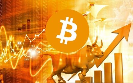 Биткоин отказывается расти вслед за альткоинами