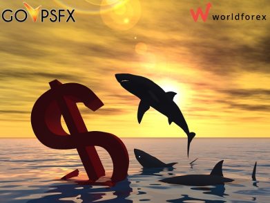 Конкурс трейдеров Profit Hunter: никто не уйдет обиженным