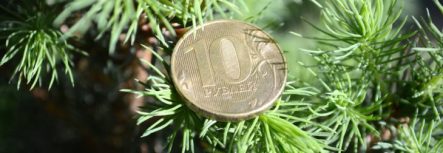 Официальный курс доллара и евро к рублю на 31 декабря 2019 года