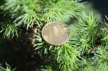 Рубль укрепился с гэпом, но его нужно будет закрыть