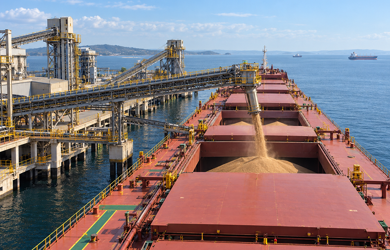 Why Commodity Exporter Currencies Don’t Always Follow Oil and Metals